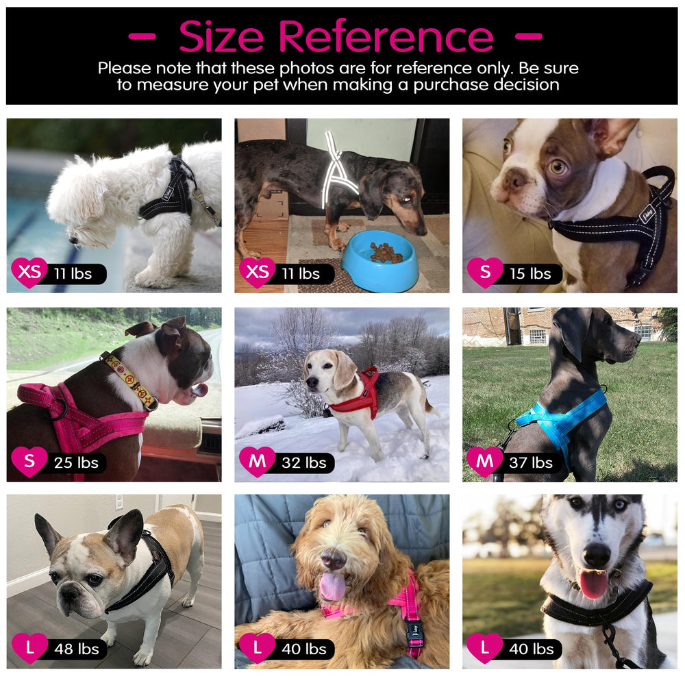Didog diseño anti-escape para paseos más tranquilos.