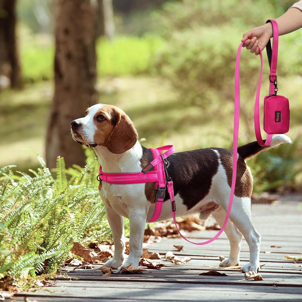 Didog arnés ligero, ideal para caminatas diarias con perros medianos.