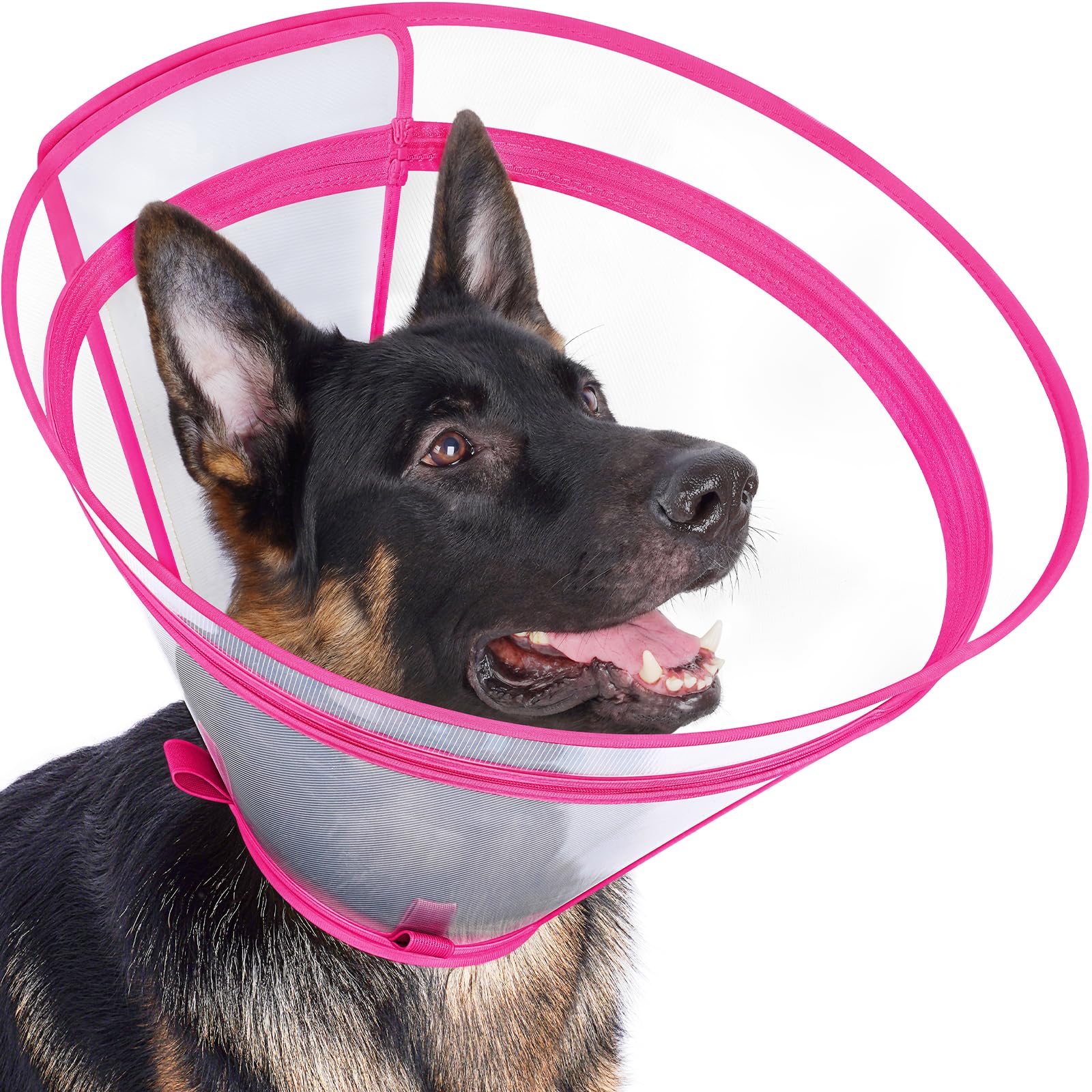 Didopet collar de recuperación transparente para visión completa y tranquilidad durante la recuperación