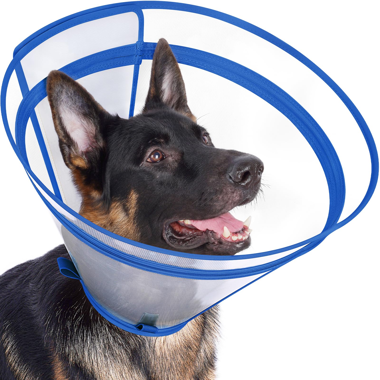 Didopet cono de recuperación para perros transparente con visión 360 para calma.