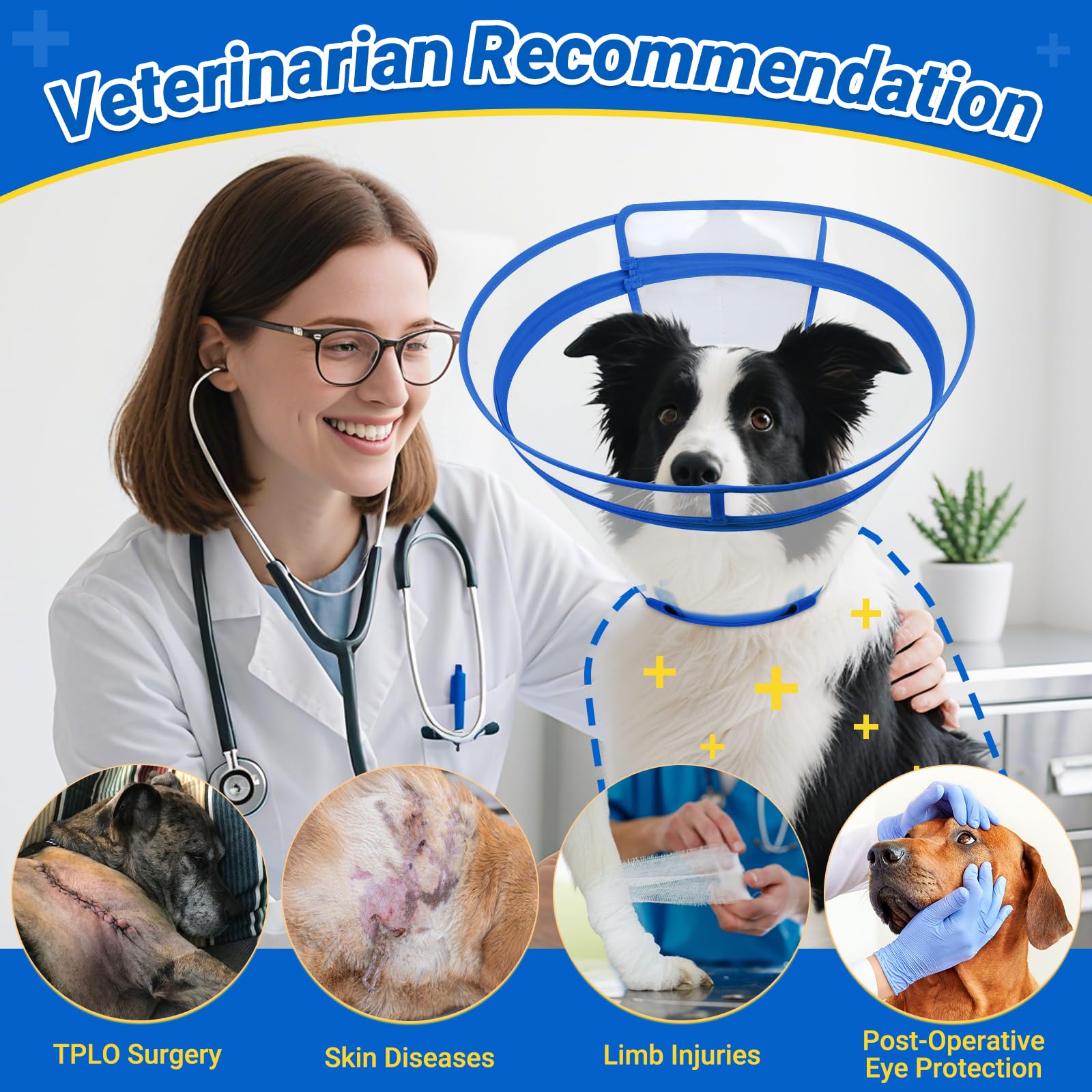 Cono Didopet con visión 360 clara para perro y dueño.