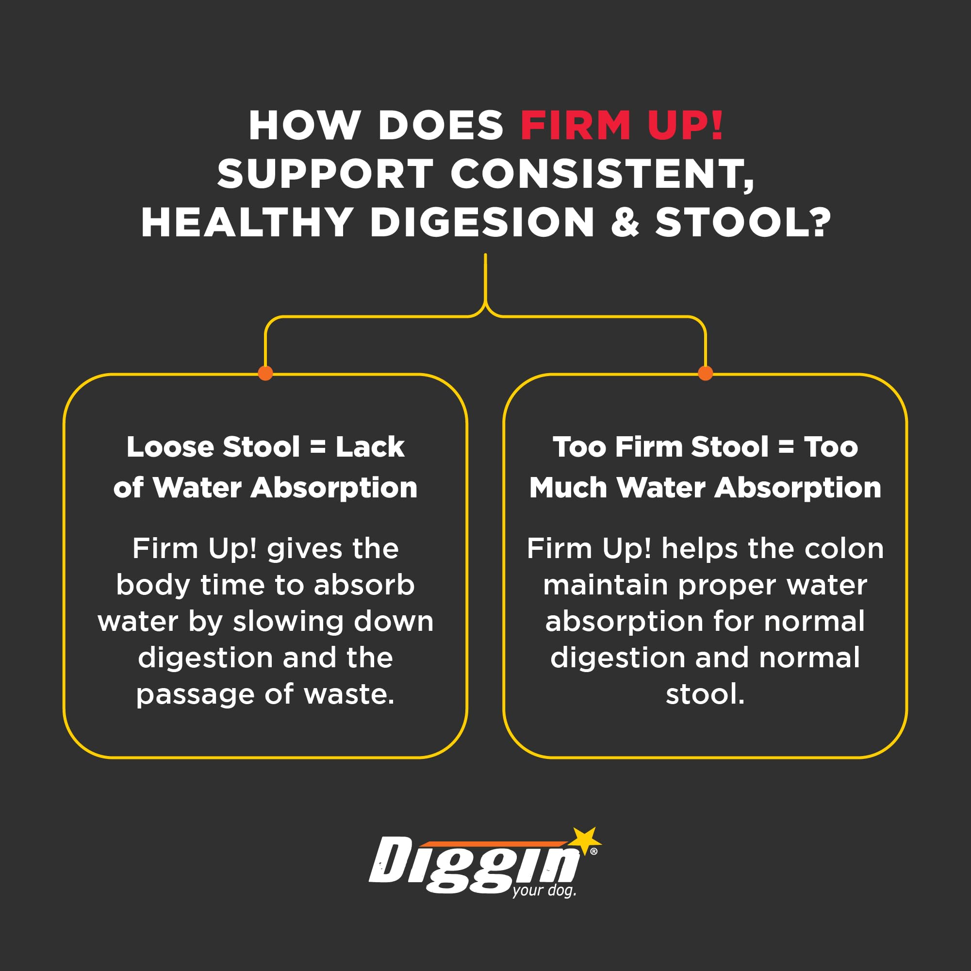 Diggin' Your Dog Firm Up apple pectin fiber enhances gut-friendly texture