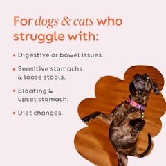 Firm Up Pumpkin para Diggin' Your Dog, mezcla fácil en la comida habitual