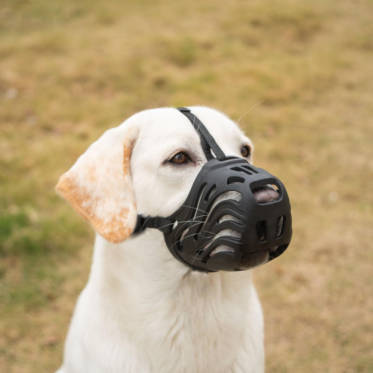 Diketone bozal para perros grandes en silicona negro, cómodo y transpirable.