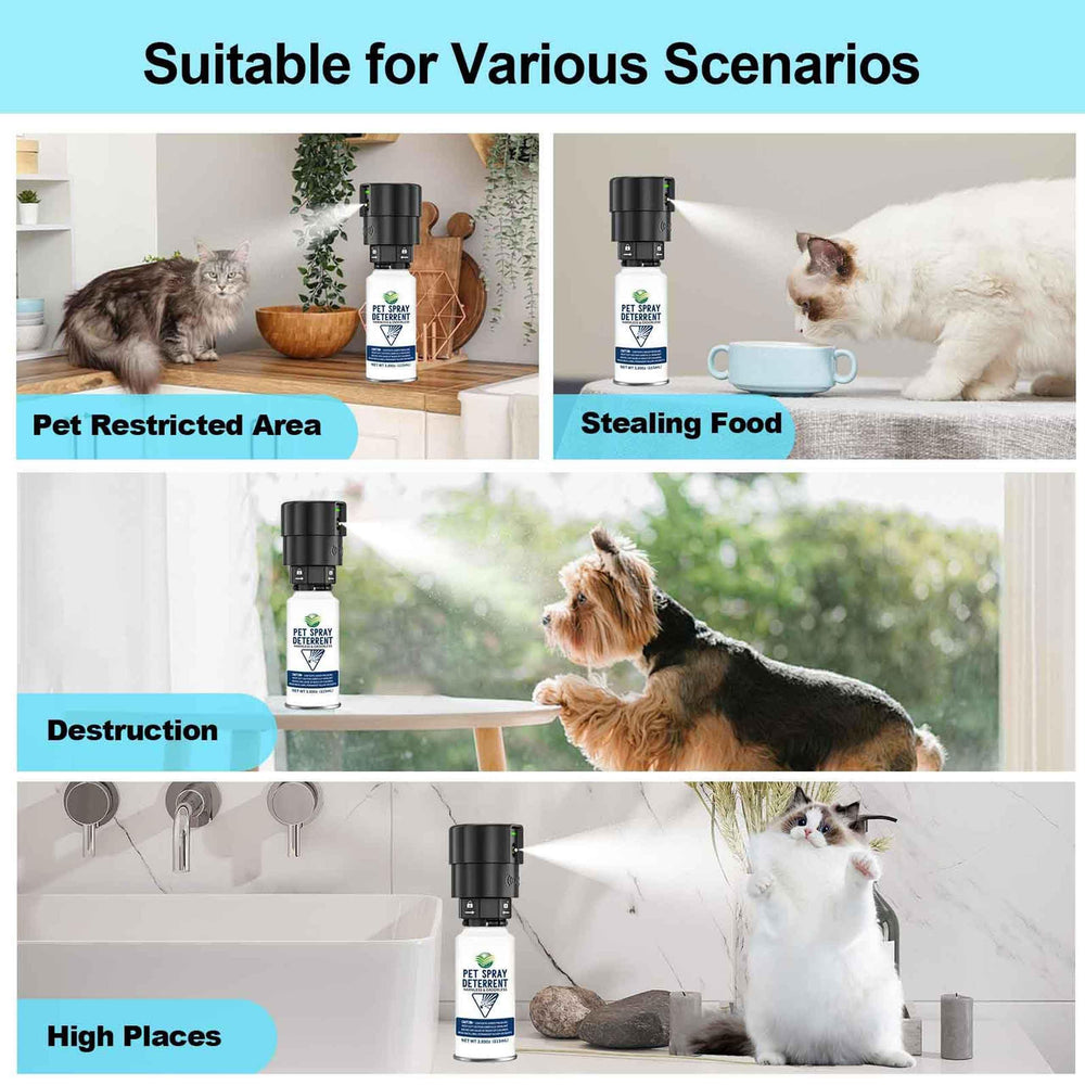 Aerosol sin olor diloqio para gatos, uso seguro en casa