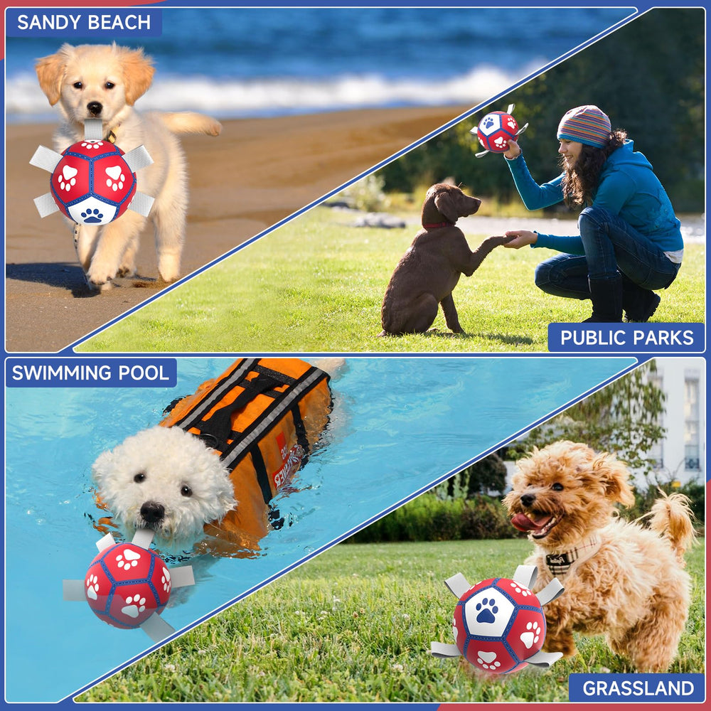 Diman juguete piscina para perro pequeño, ideal para diversión en el agua.