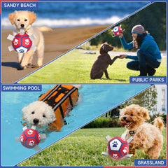 Diman juguete piscina para perro pequeño, ideal para diversión en el agua.
