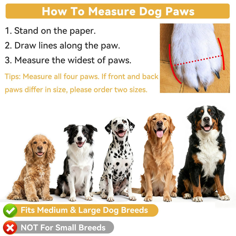 Dimicoo juego de 4 botas para cubrir todas las patas