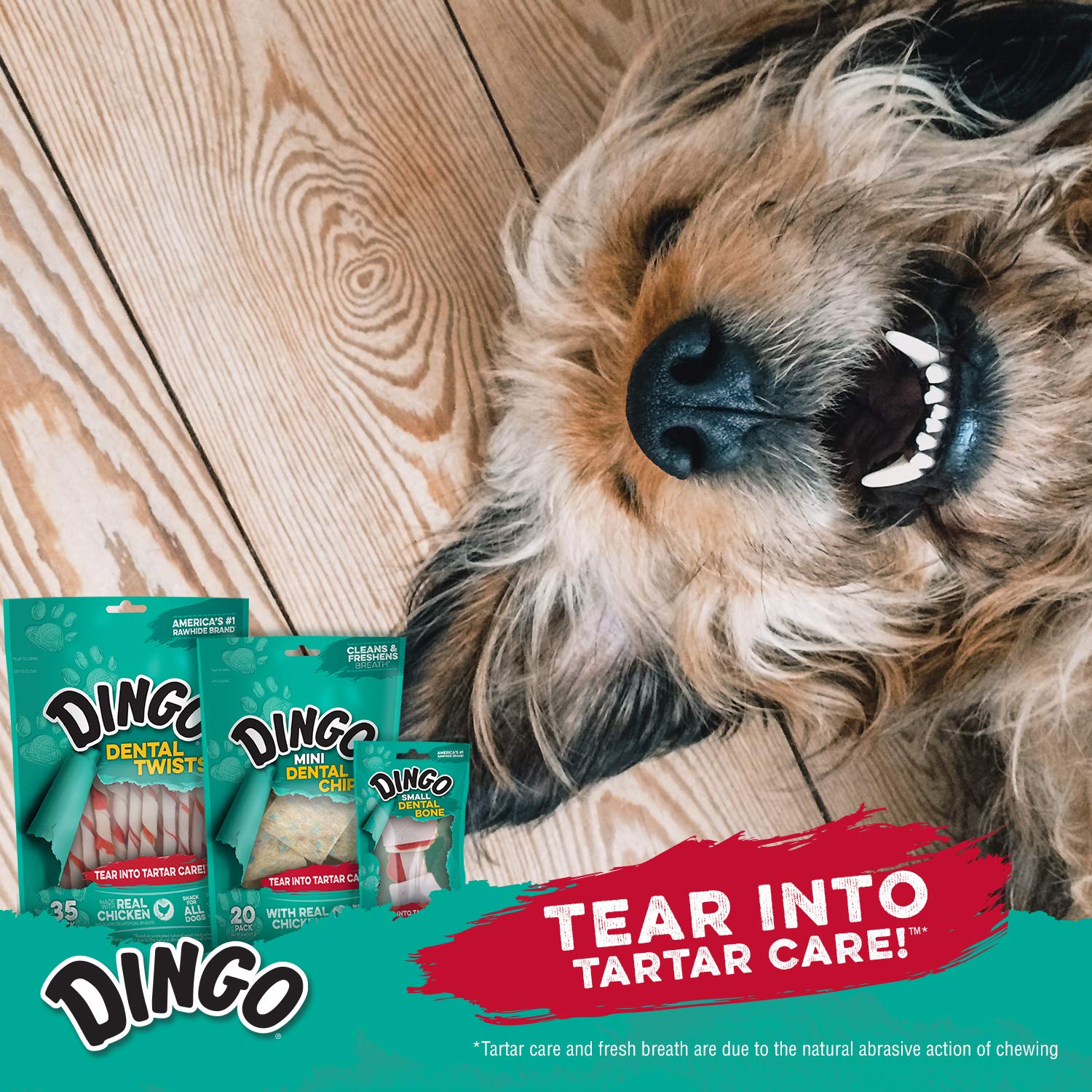 Dingo Dental Spirals en envase reutilizable que mantiene la frescura.