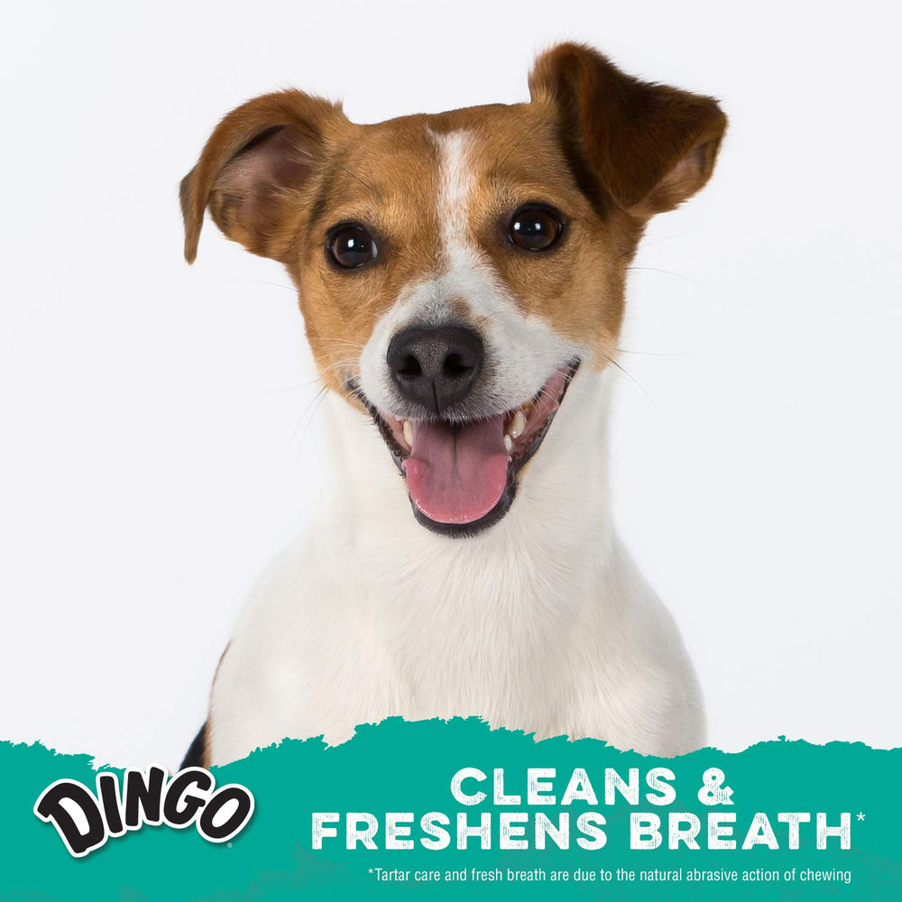 Dingo Dental Spirals aroma a perejil y menta para uso diario.