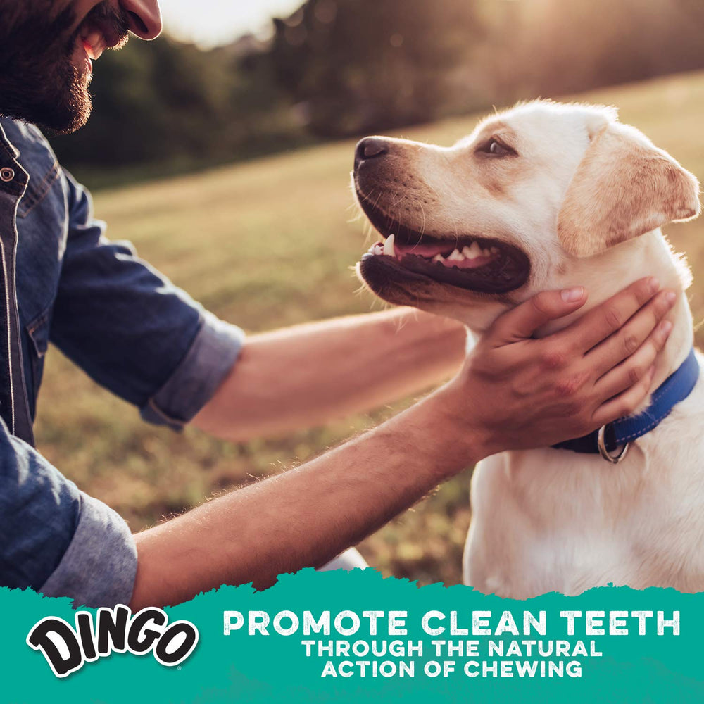 Dingo Dental Sticks en bolsa recerrable para conservar la frescura.