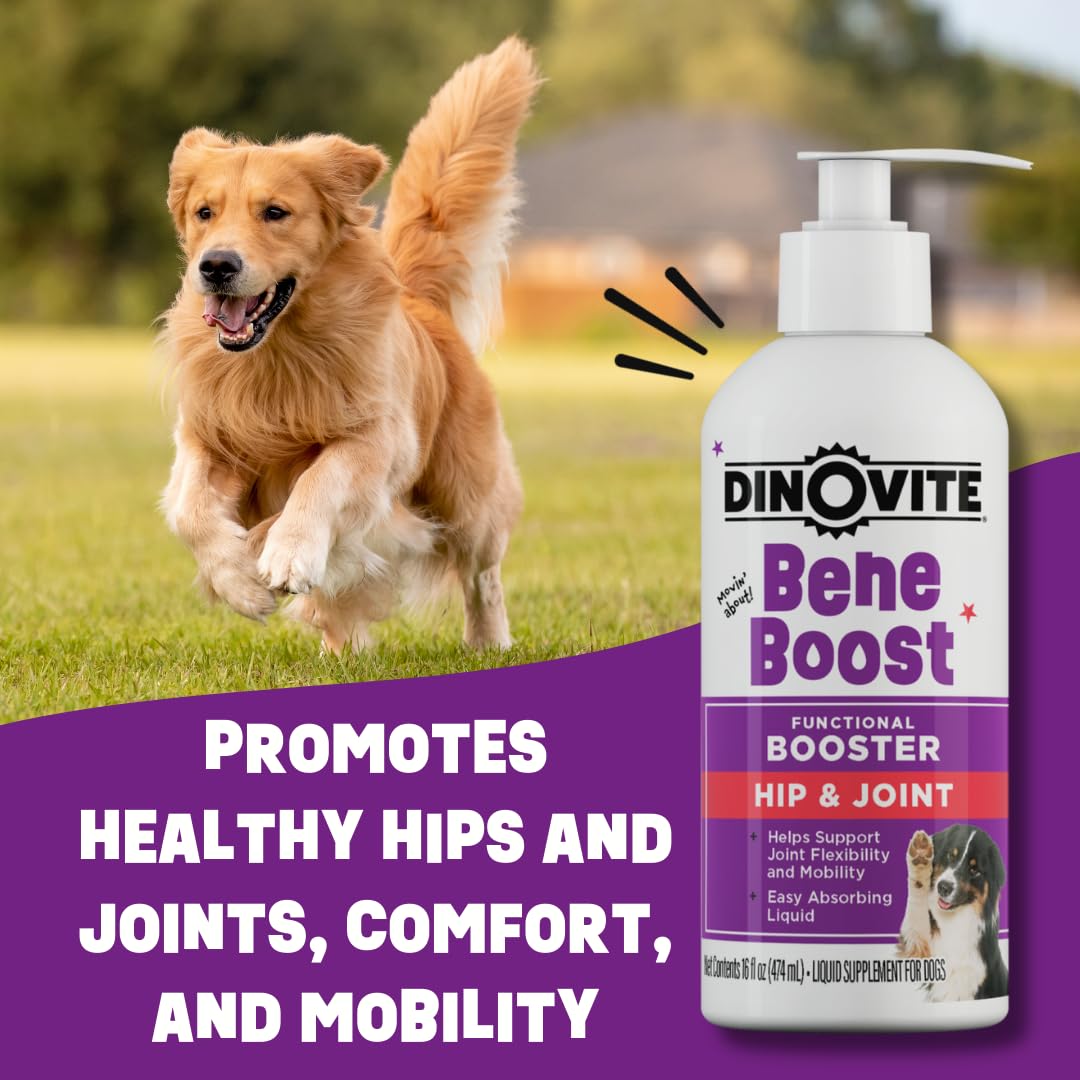 Dinovite BeneBoost, botella de 6 oz lista para uso diario.