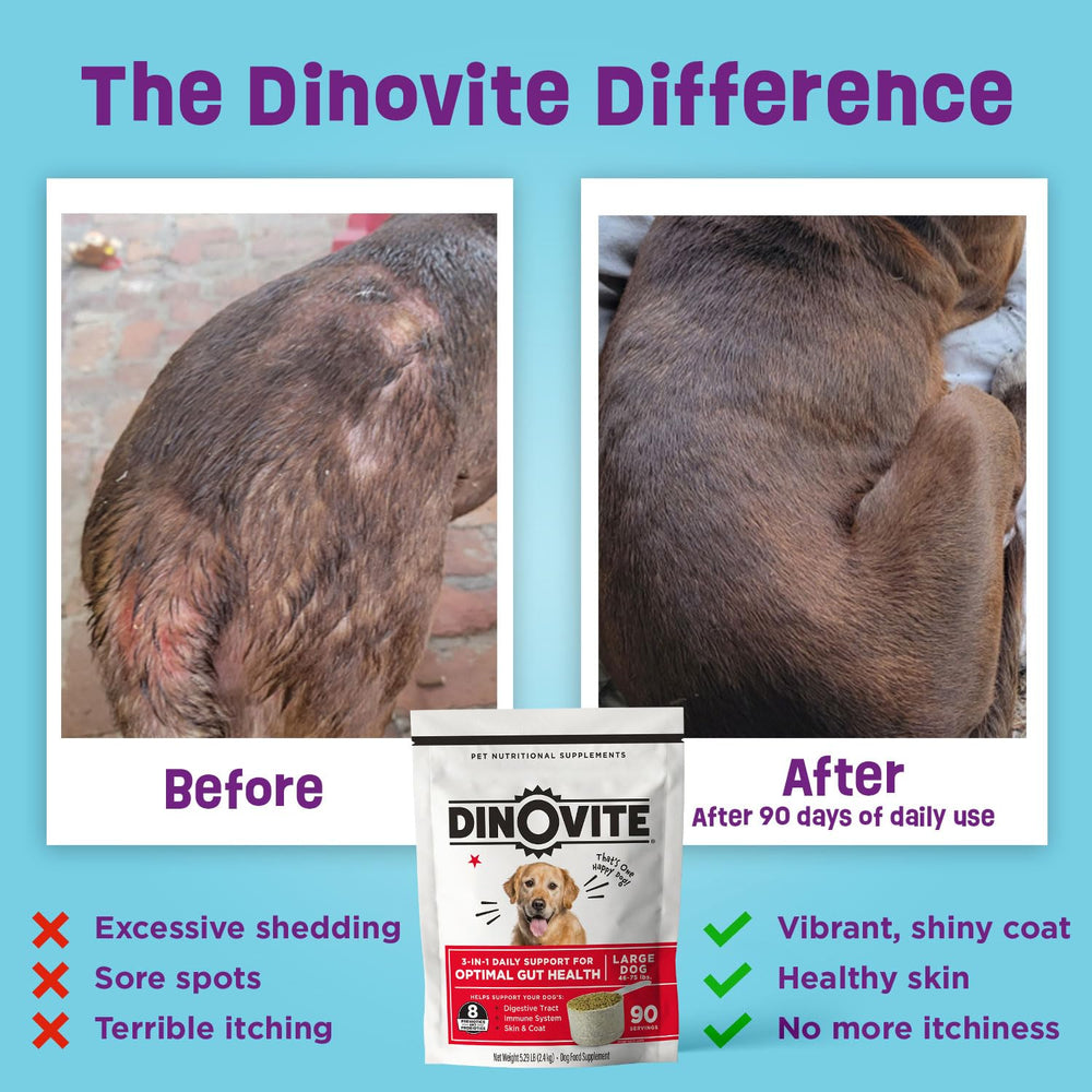 Dinovite perro piel y pelo brillo: piel sana y pelaje brillante.