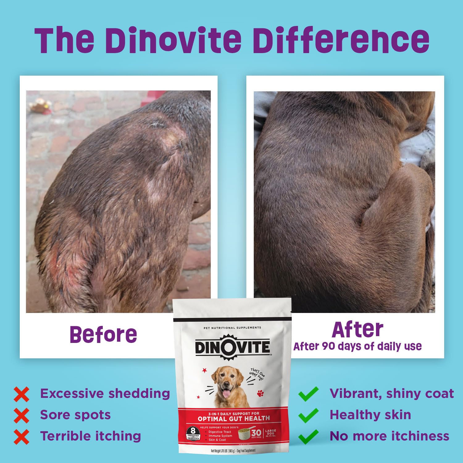 Dinovite Probiotico, piel y pelaje brillantes en perros medianos