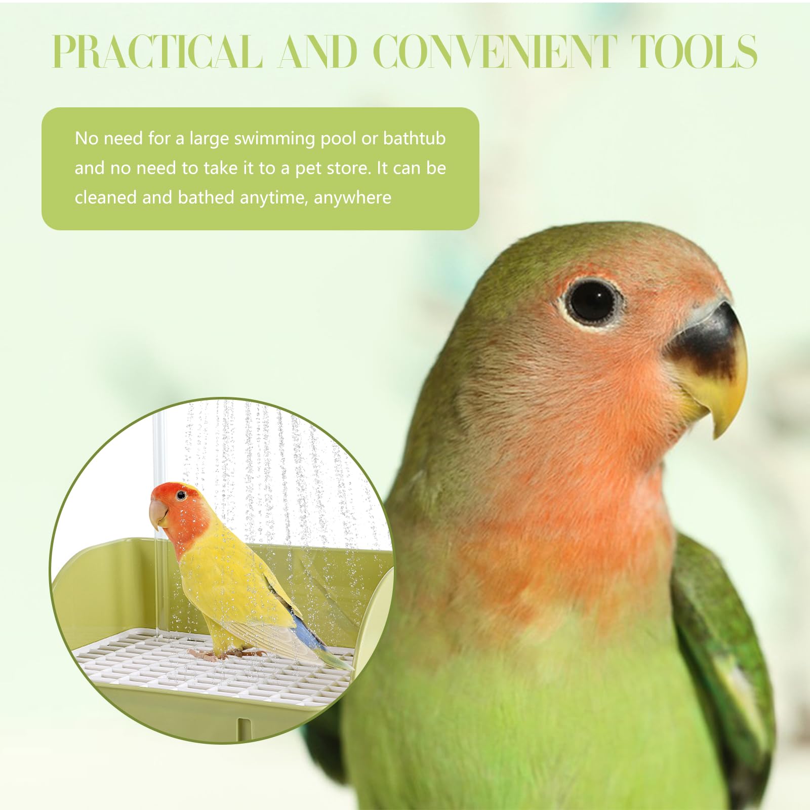 Cuenco-bano-pajaro-espacioso de DINTSTYLE, ideal para varias aves.