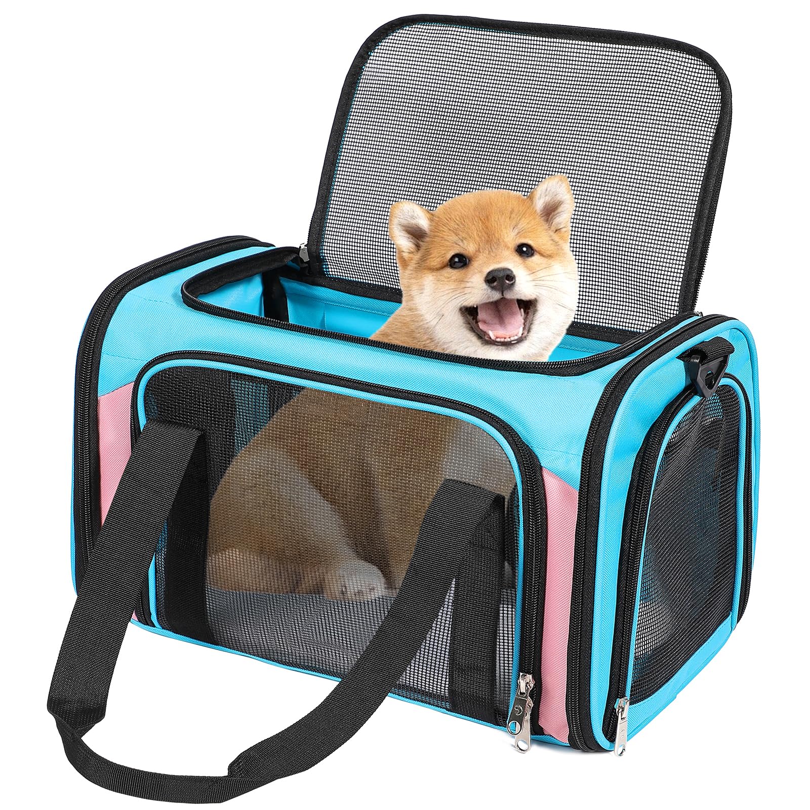 Discala portador para gatos y perros, vista frontal con buena ventilación.