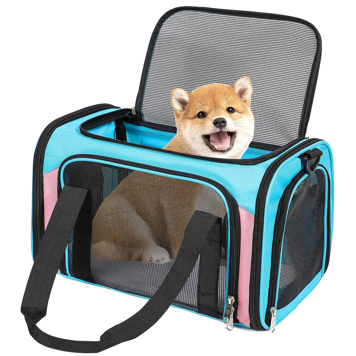Discala portador para gatos y perros, vista frontal con buena ventilación.