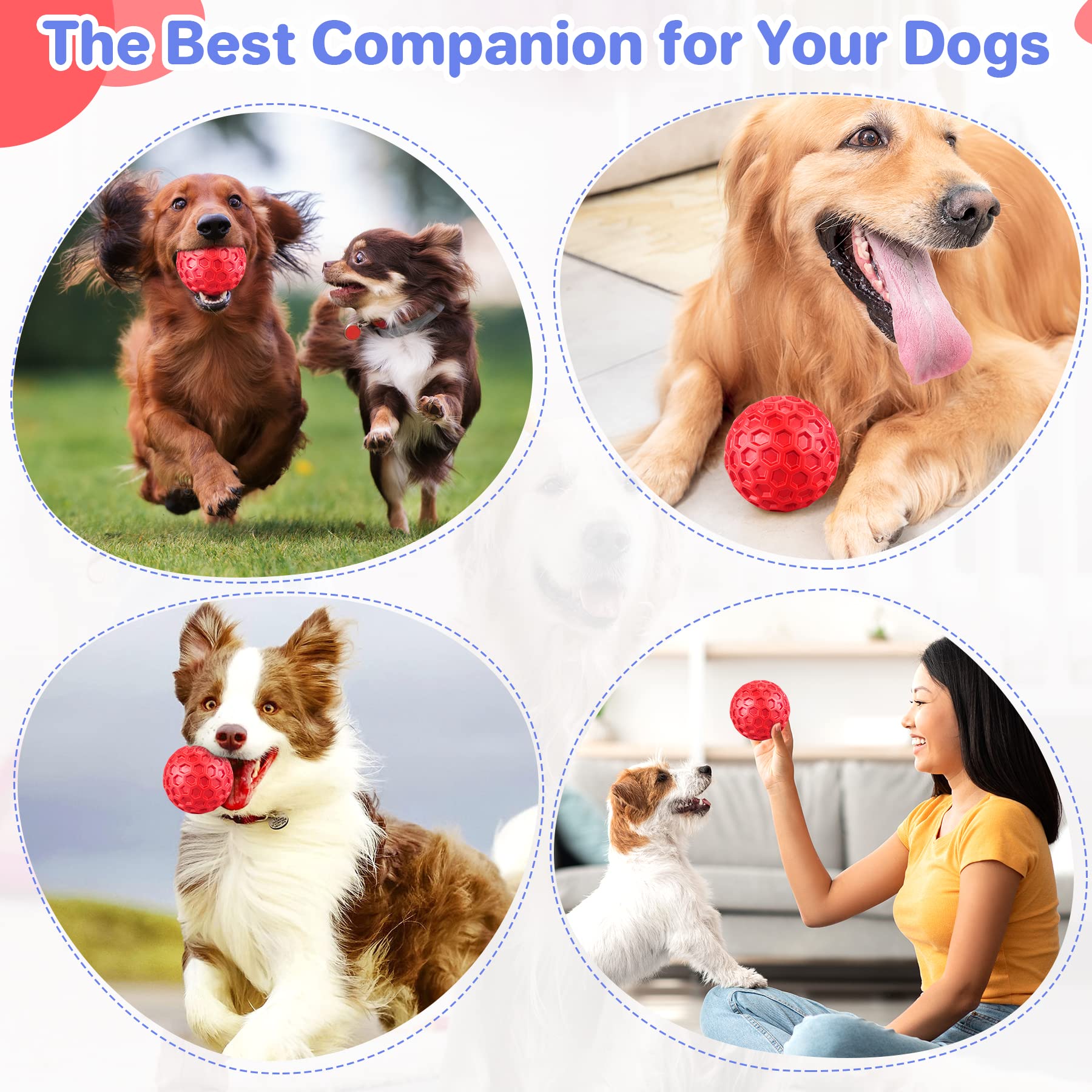 Regalo ideal DISSKNIC para cachorros, mantiene la diversión diaria.