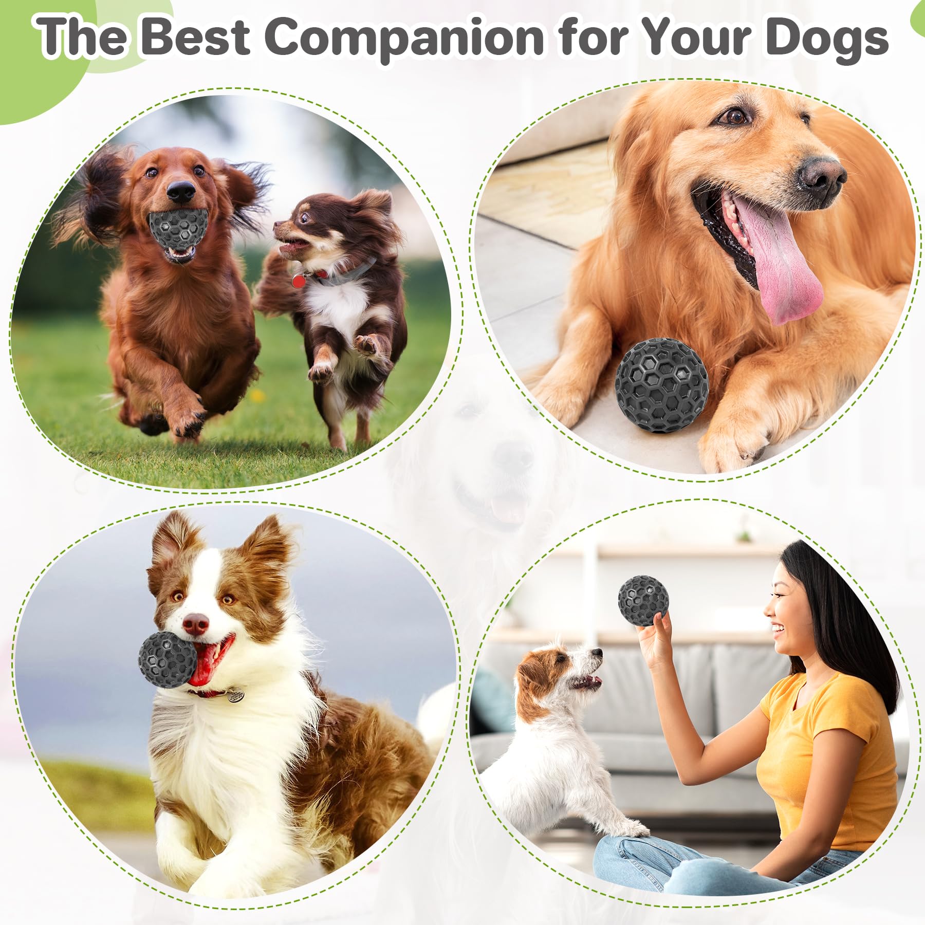 DISSKNIC regalo-ideal-para-perros en cumpleaños y entretenimiento