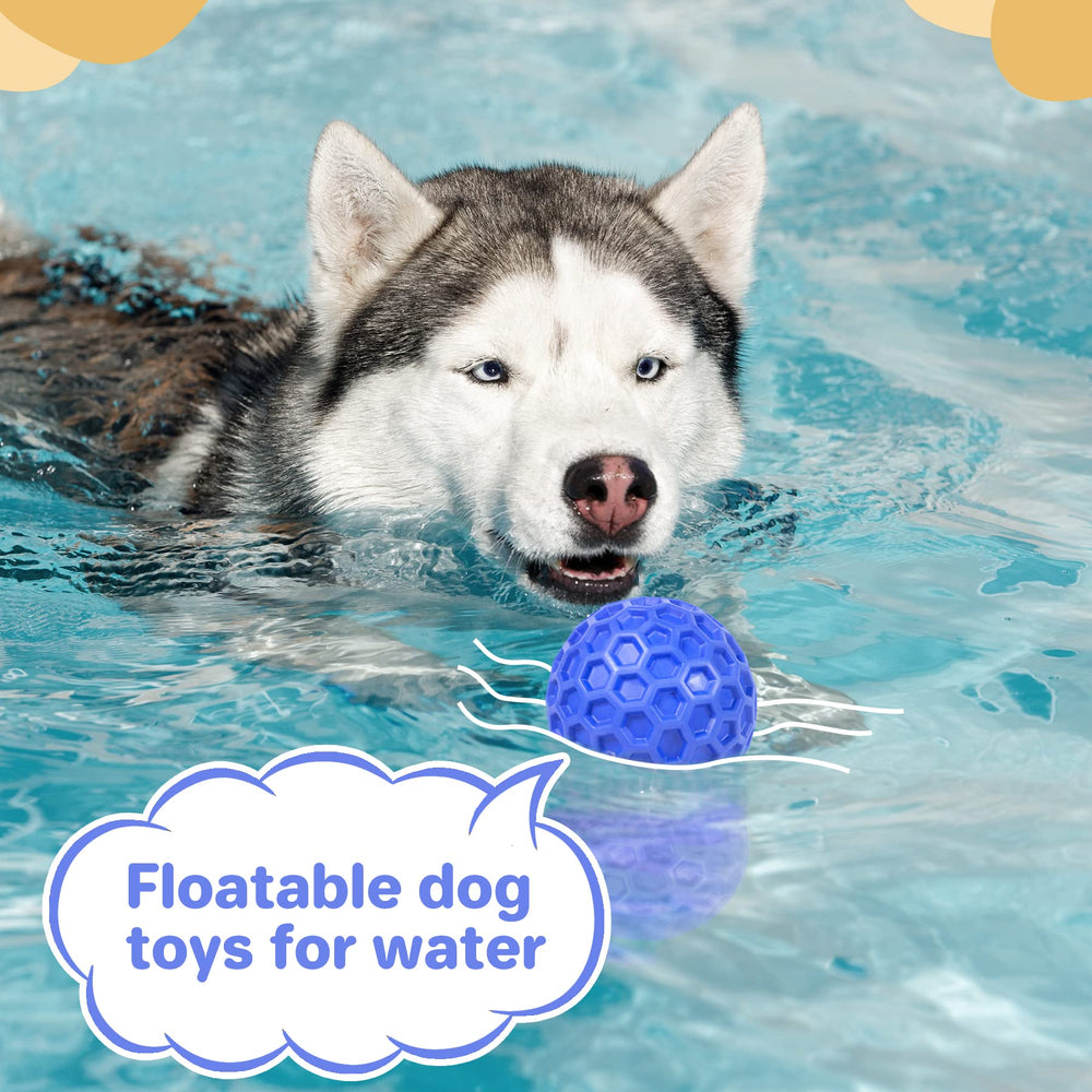 Regalo ideal para perros energéticos con DISSKNIC