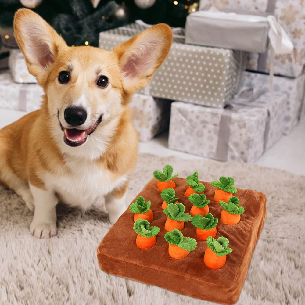 DIYGIFF Juguete zanahoria para perros: adecuado para adiestramiento en interiores y juego.