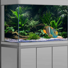 Fondo Dizifinn de acuario tropical con lago, ambiente natural para peces.