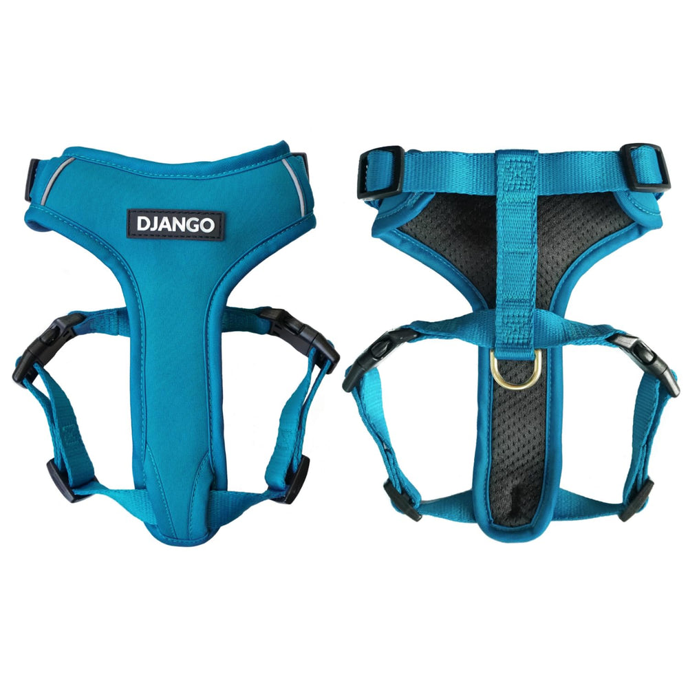 Arnés Django Aventura en neopreno azul pacífico, cómodo para uso diario.