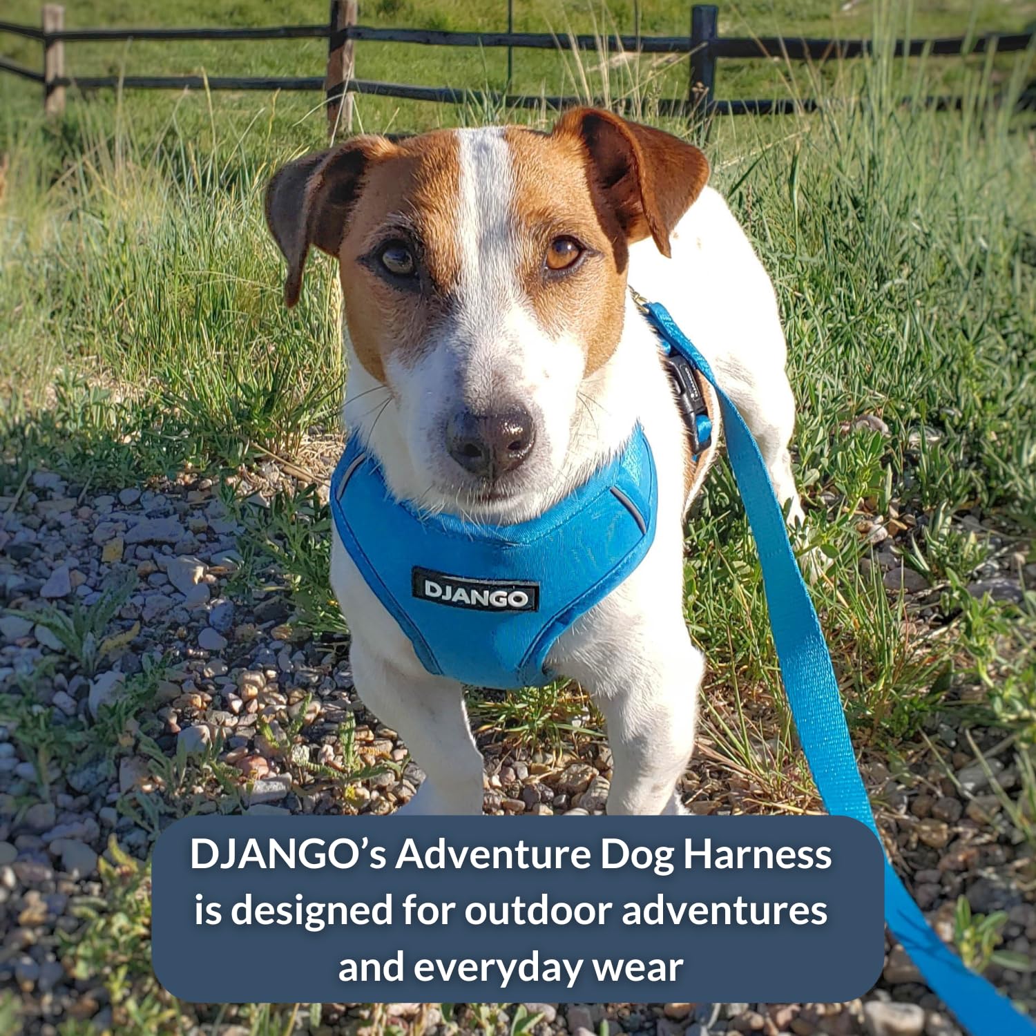 Diseño anti-escape del arnés Django Aventura.