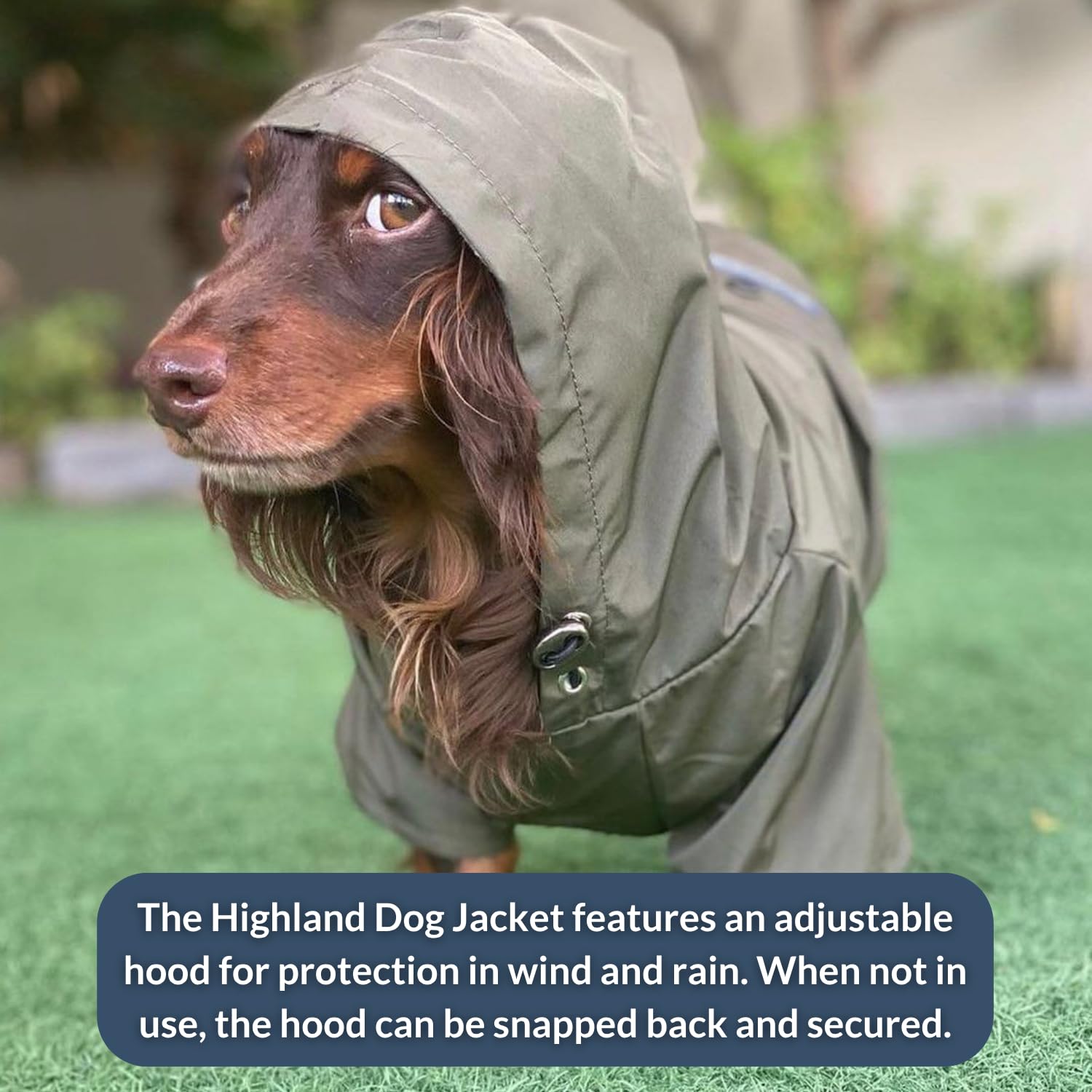 DJANGO Highland chaqueta-perro bolsillo trasero para llaves y snacks.