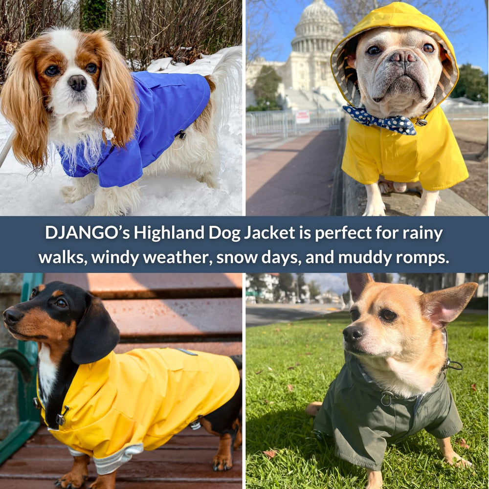 DJANGO Highland chaqueta-perro detalles metalicos para estilo urbano.
