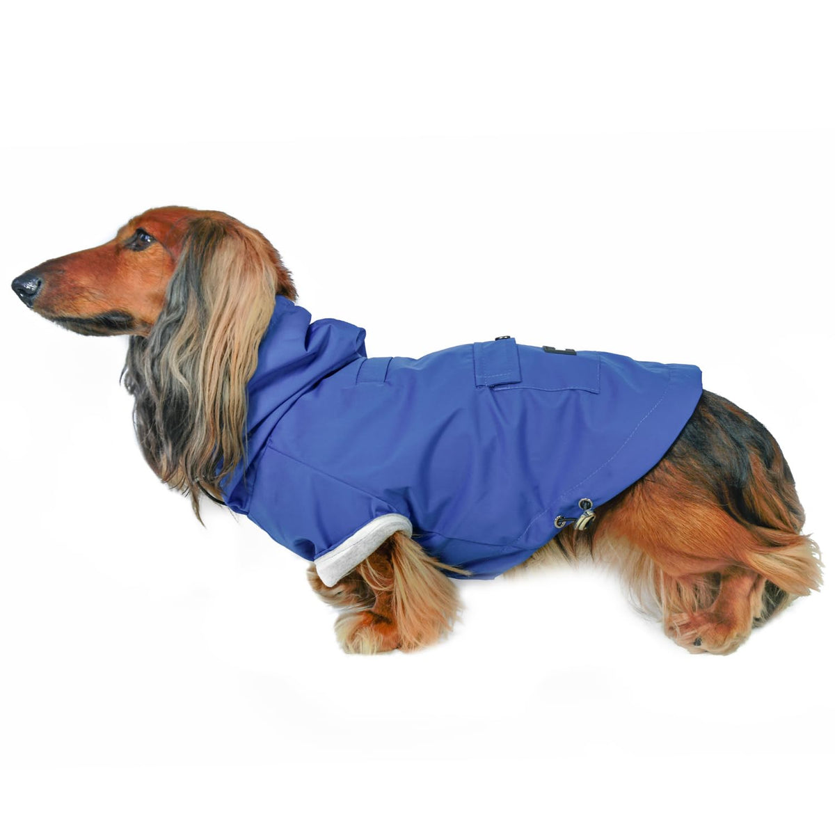 DJANGO Highland chaqueta-perro impermeable con capucha azul para lluvia ligera.