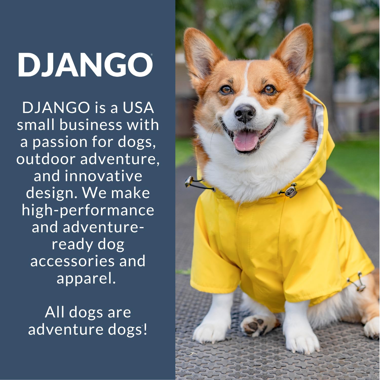 DJANGO Highland chaqueta-perro capucha protegiendo del viento.