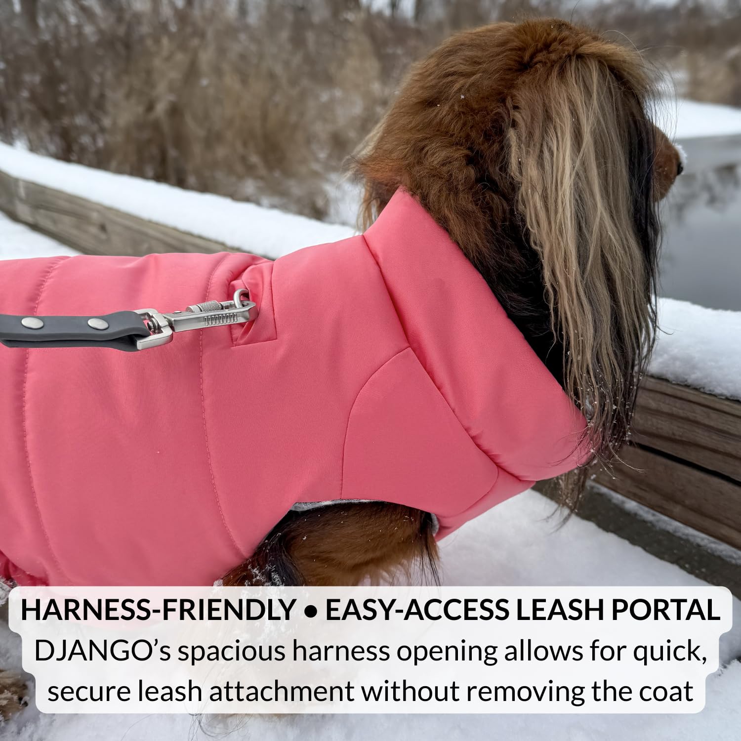 DJANGO Puffer para perro: abertura para arnés para paseos seguros