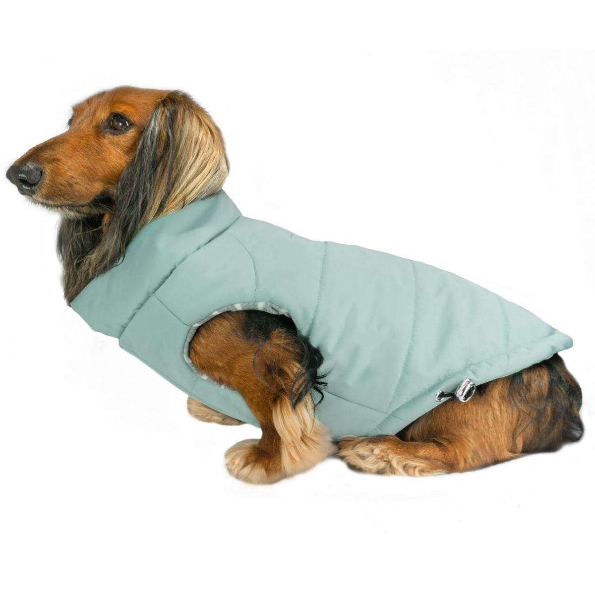 DJANGO Puffer para perro: frente en verde espuma marina, abrigo cálido para paseos diarios