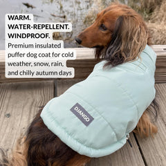 DJANGO Puffer para perro: interior rayado que añade confort en climas fríos