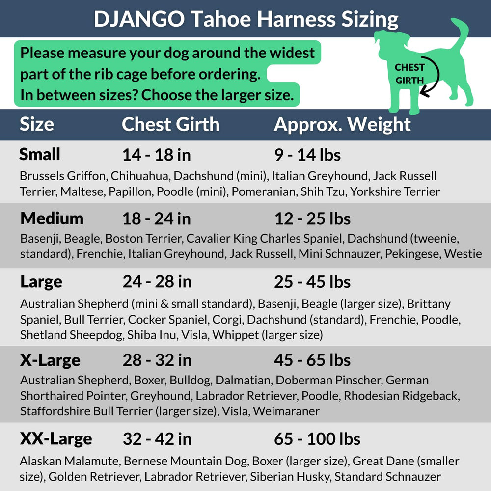 DJANGO Tahoe arnés ajuste de cuatro puntos para mejor ajuste