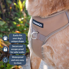 DJANGO Tahoe arnés trasero con enganche seguro para caminatas diarias