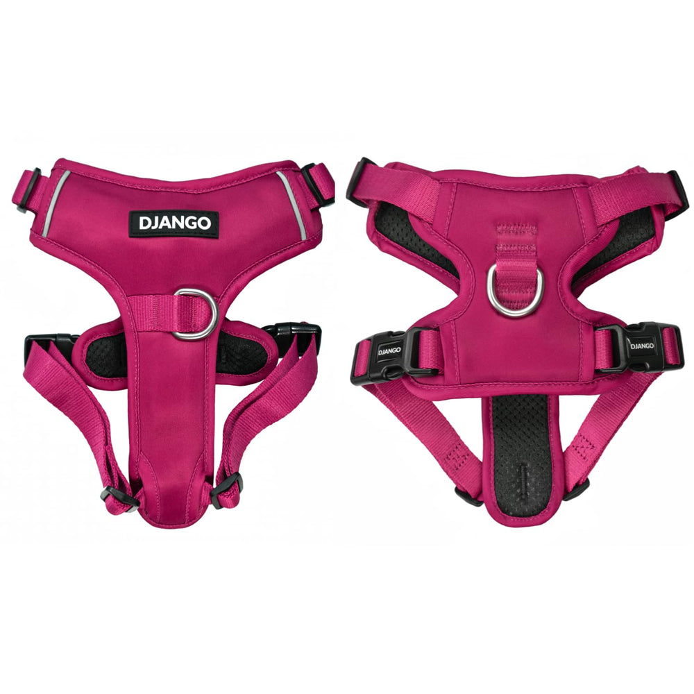 Arnés Django Tahoe sin fuga con clips delantero y trasero para perros grandes.