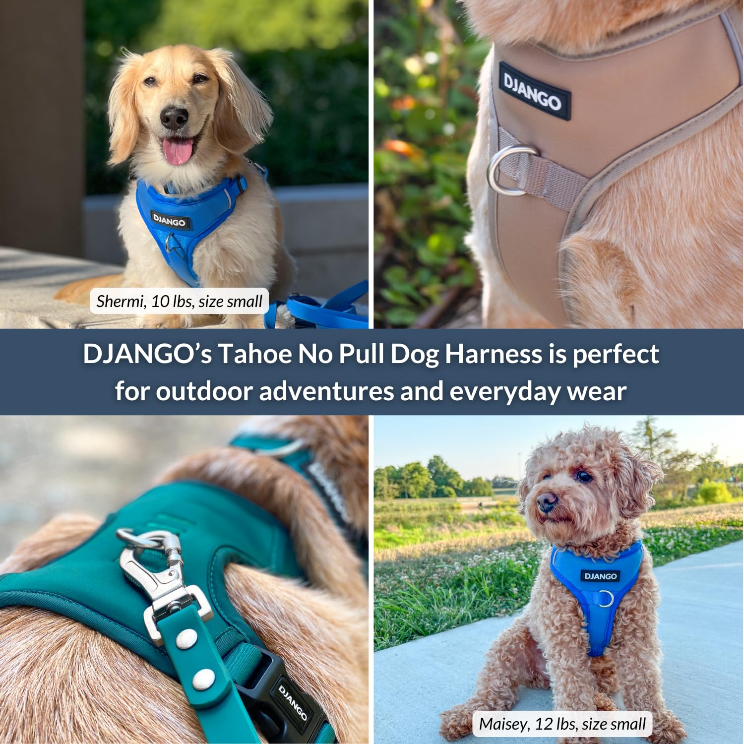DJANGO Tahoe Sin Tirones: borde reflectante para mayor visibilidad.