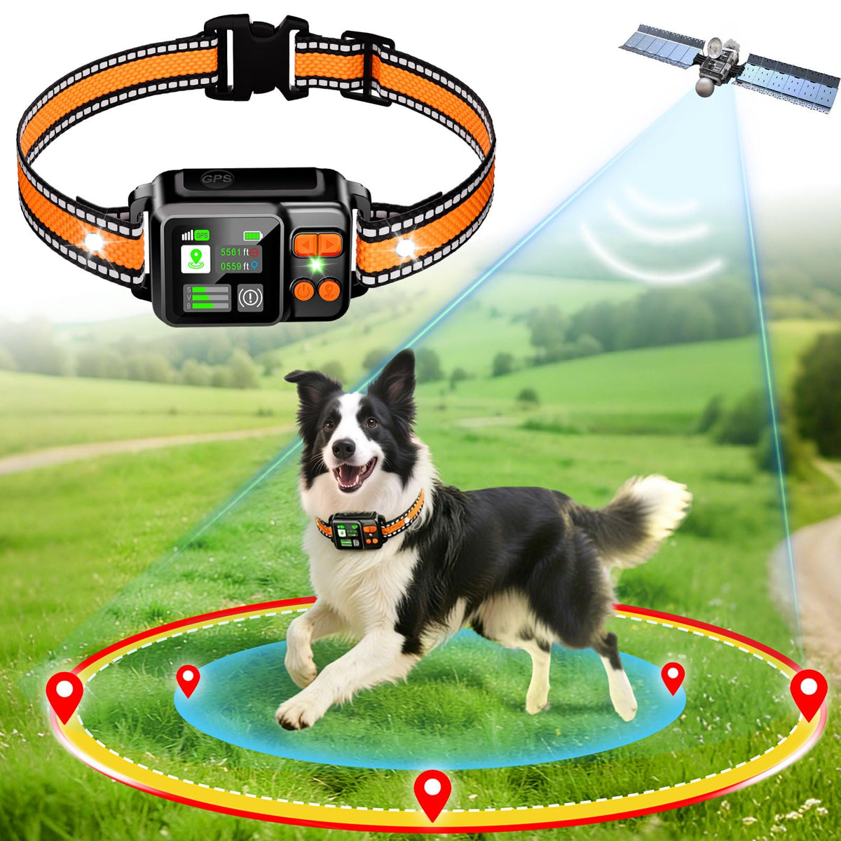 La DJNFGQ cerca perro GPS inalámbrica delimita el área con precisión