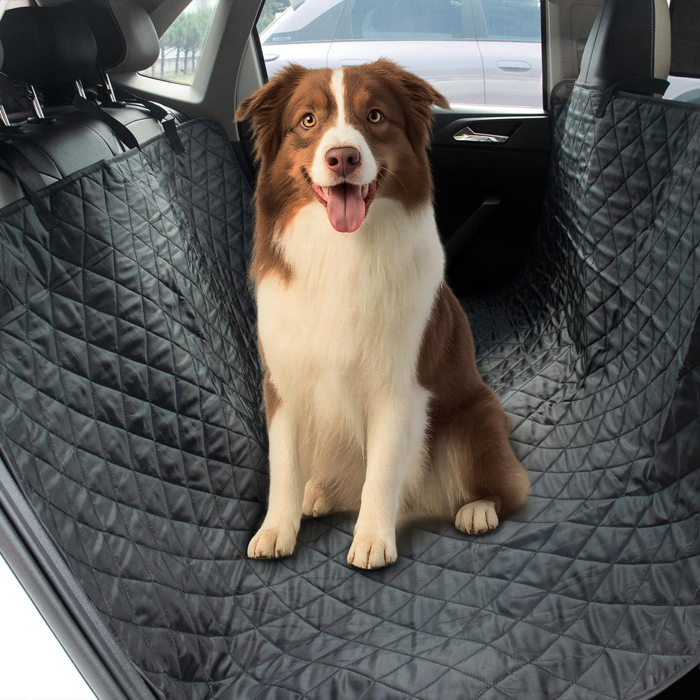 Protección universal para coches, camiones y SUV con DMS PROTECTOR