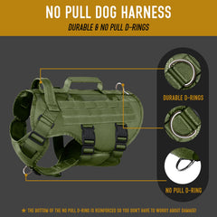 Sistema MOLLE DNALLRINO con parches y accesorios