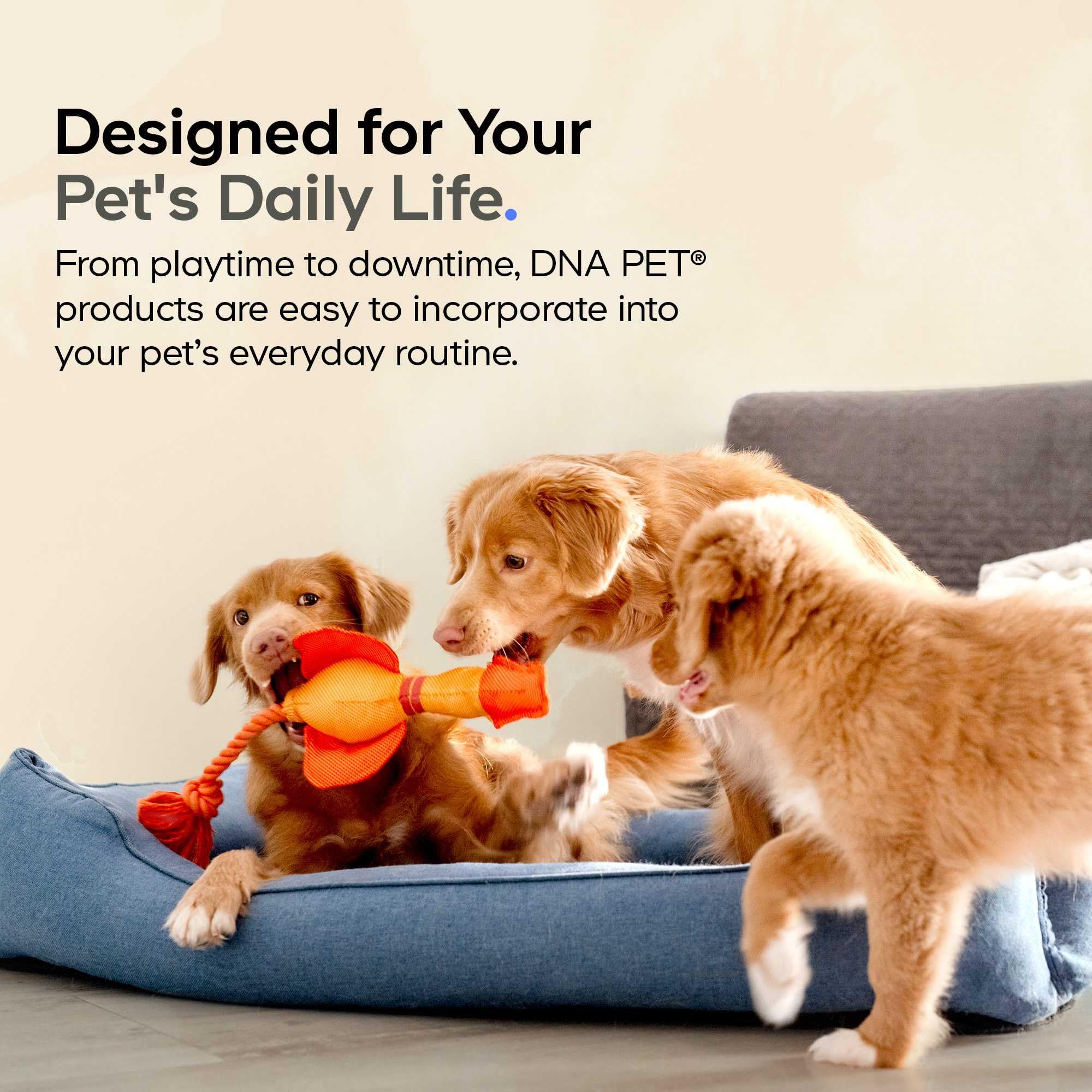 DNA PET Collágeno líquido en envase de 4 onzas para uso prolongado.