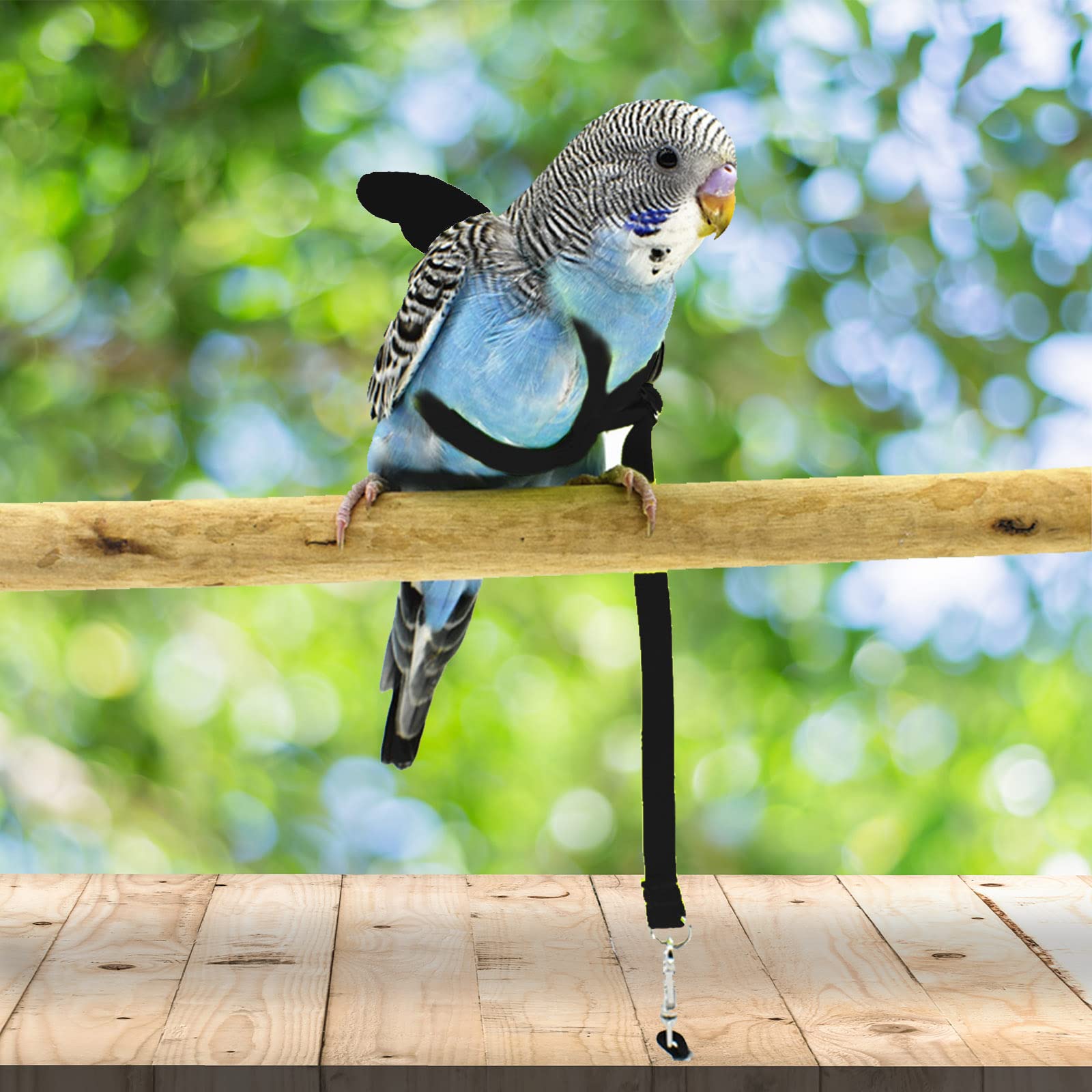 Correa para pajaro de Dnoifne ligera para paseos seguros.