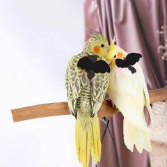Diseño cómodo de Dnoifne para pajaro sin irritar las plumas durante el uso.