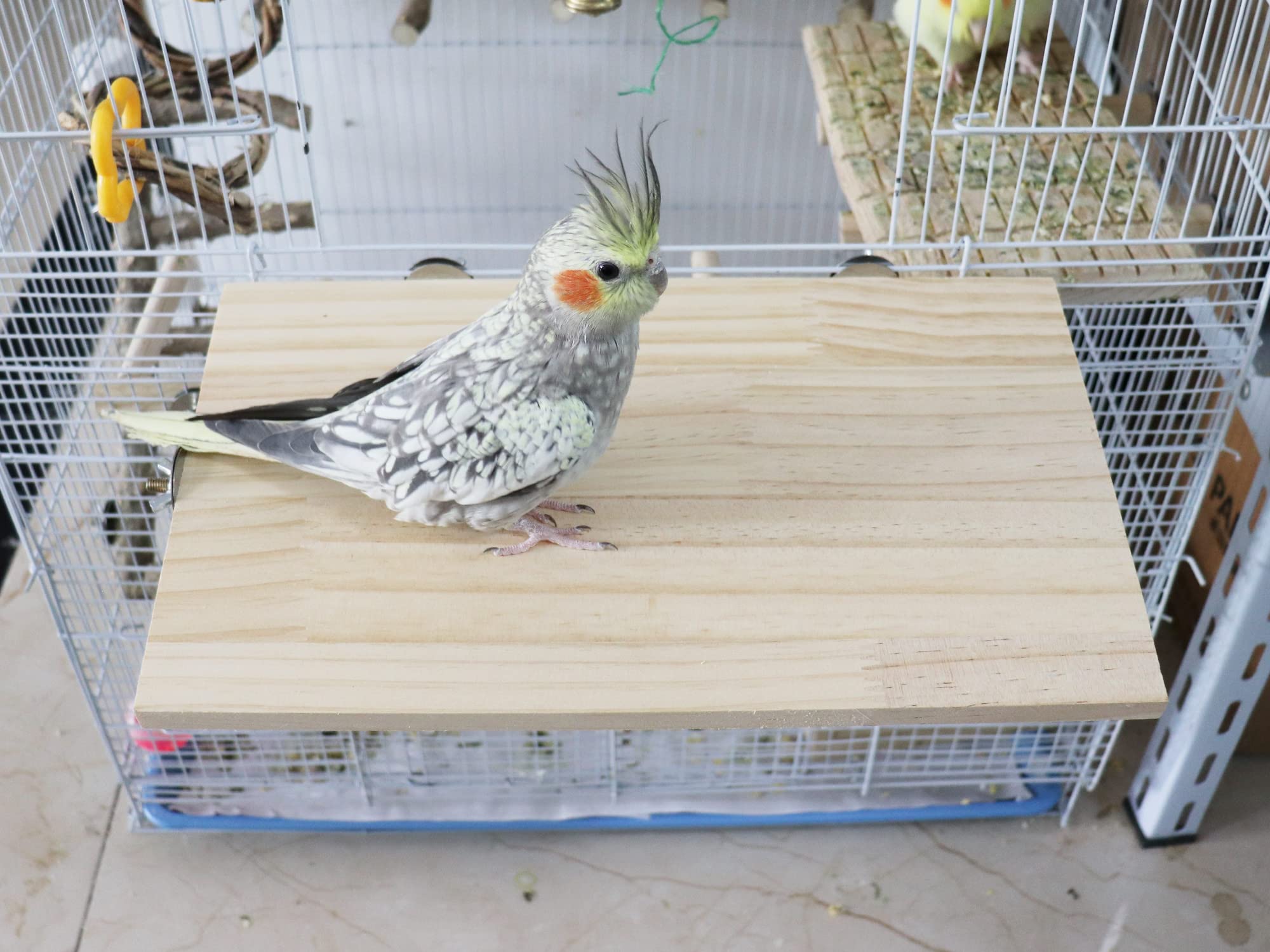 Dnoifne-madera-natural-aves: material seguro para masticar y descanso.