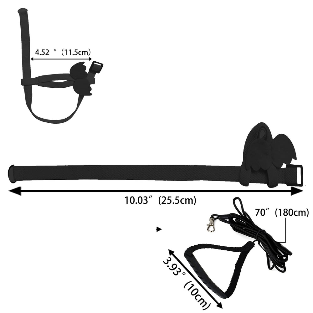 Regalo ideal para amantes de aves: arnés y correa de Dnoifne.