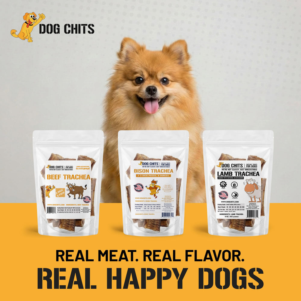 Dog Chits tráquea de res snack duradero para entrenamiento
