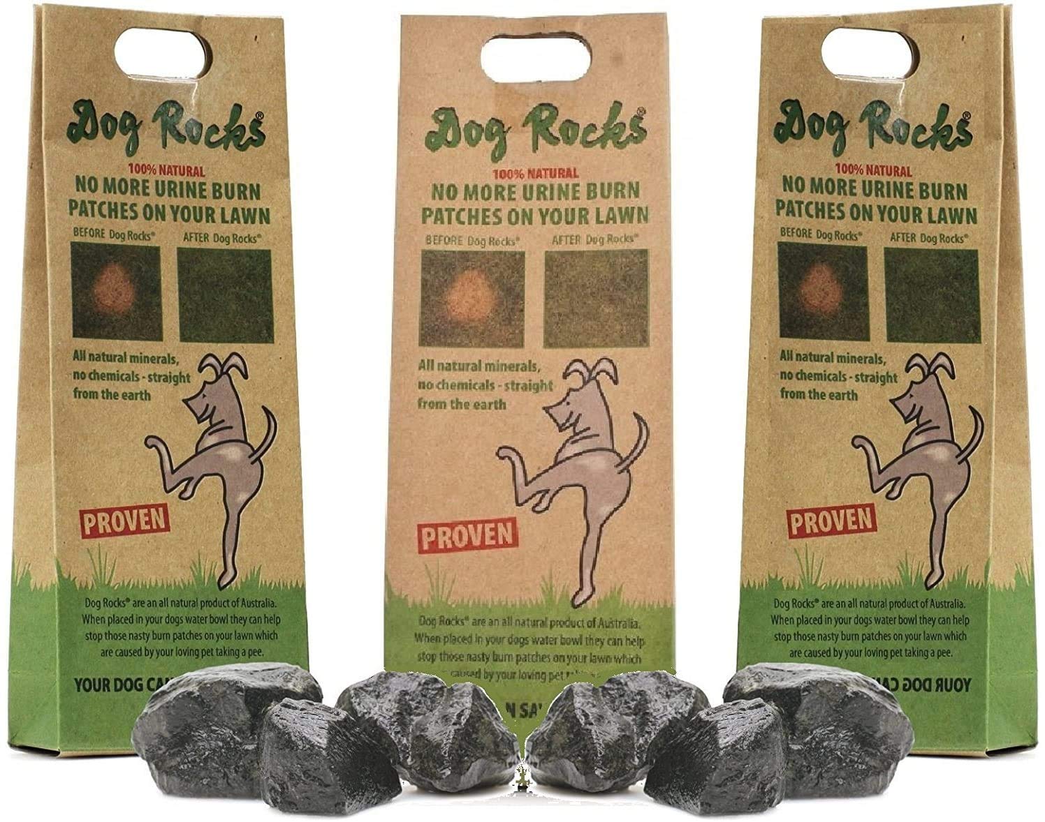 Dog Rocks 200g en cuenco de agua, hidratación segura para perros