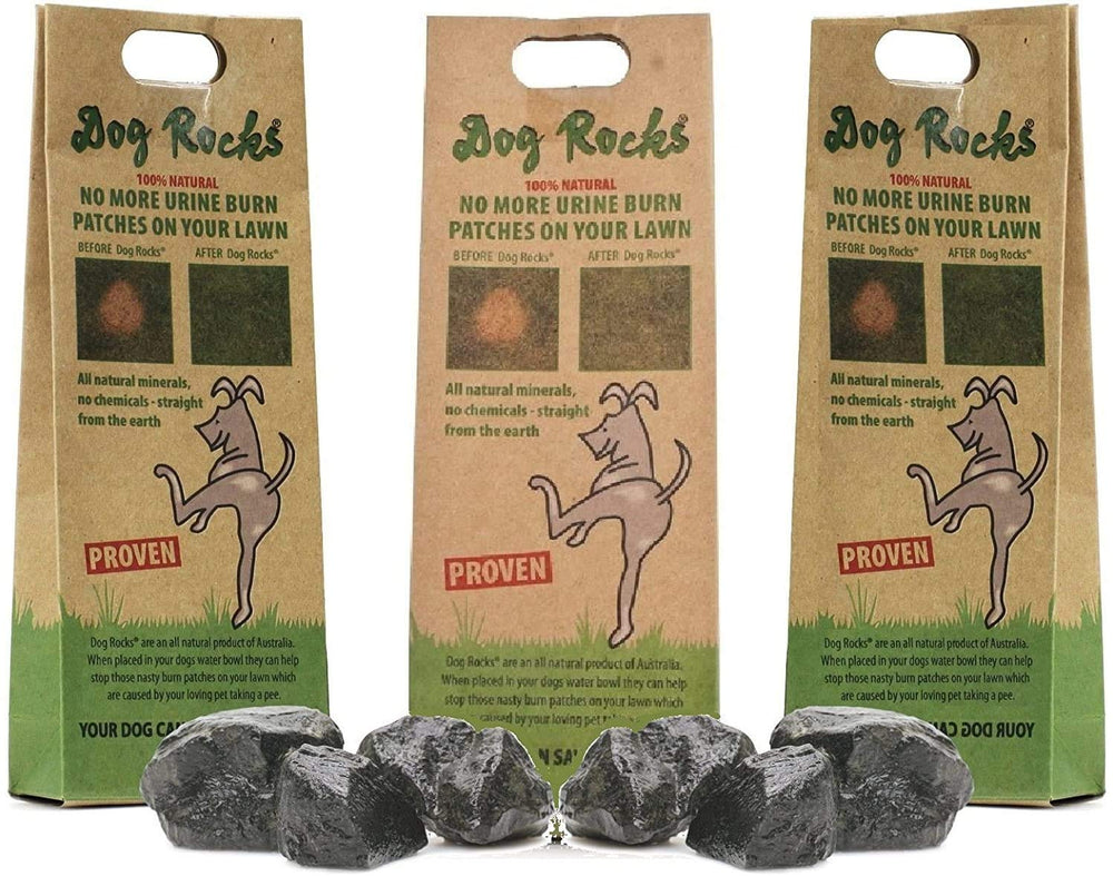 Dog Rocks 200g en cuenco de agua, hidratación segura para perros